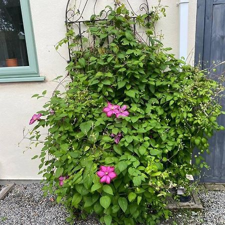 Rural Cosy Retreat For Two Near Port Isaac Apartment Delabole Екстериор снимка