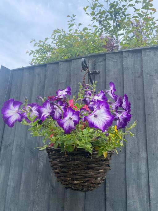 Rural Cosy Retreat For Two Near Port Isaac Apartment Delabole Екстериор снимка
